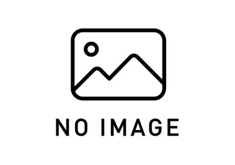 中古トラック買取　テレフォンアポインター　埼玉
