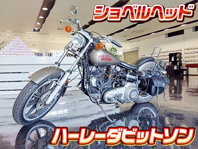 [バイク] H9 Harley Davidson ショベルヘッド FXSローライダー